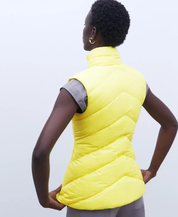 Adolfo Dominguez Abrigos Y Chaquetas>Chaleco Acolchado Entallado Amarillo Oscuro